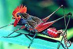 6igkkky - vtipn� obr�zok - Kalerab.sk