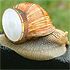 6ilb77m - vtipn� obr�zok - Kalerab.sk
