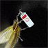 6iwffqf - vtipn� obr�zok - Kalerab.sk