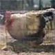 6jy99z2 - vtipn� obr�zok - Kalerab.sk