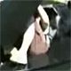 6k7sqtc - vtipn� obr�zok - Kalerab.sk