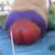 6kecbsv - vtipn� obr�zok - Kalerab.sk