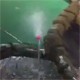 6lfvwxd - vtipn� obr�zok - Kalerab.sk