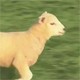 6lmn84v - vtipn� obr�zok - Kalerab.sk