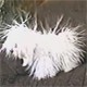 6lql5rp - vtipn� obr�zok - Kalerab.sk