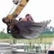 6lql6f8 - vtipn� obr�zok - Kalerab.sk