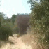 t1iln97c - vtipn� obr�zok - Kalerab.sk