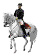 Hus�brko