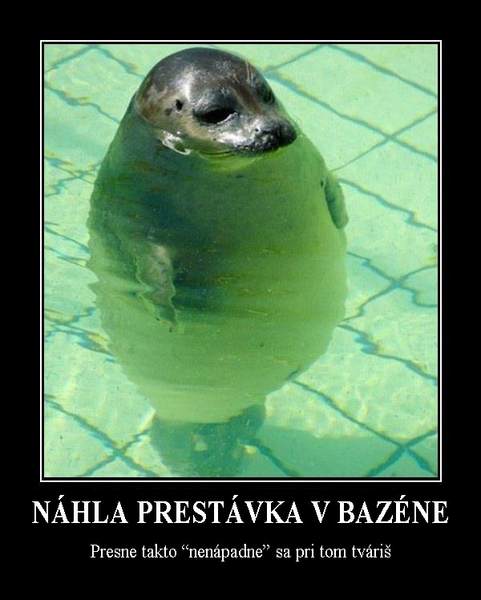 bazen klrb - vtipný obrázok - Kalerab.sk