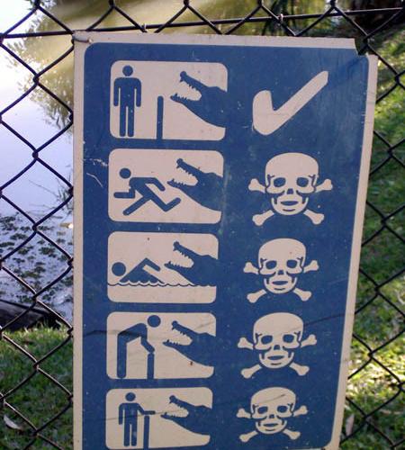 crocodiles - vtipn� obr�zok - Kalerab.sk