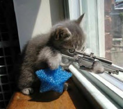 kitty sniper - vtipn obrzok - Kalerab.sk