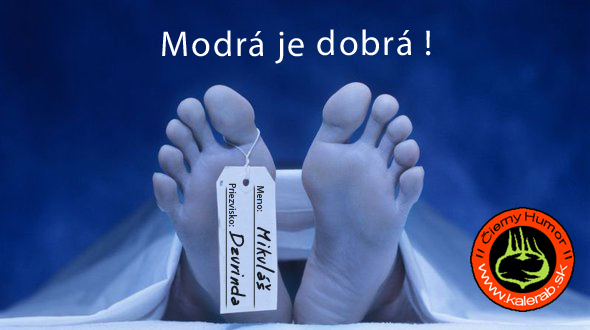 modr  je dobr  - vtipn� obr�zok - Kalerab.sk