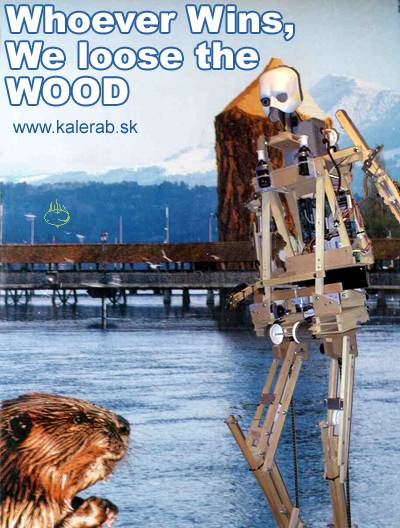 robotbobor - vtipný obrázok - Kalerab.sk