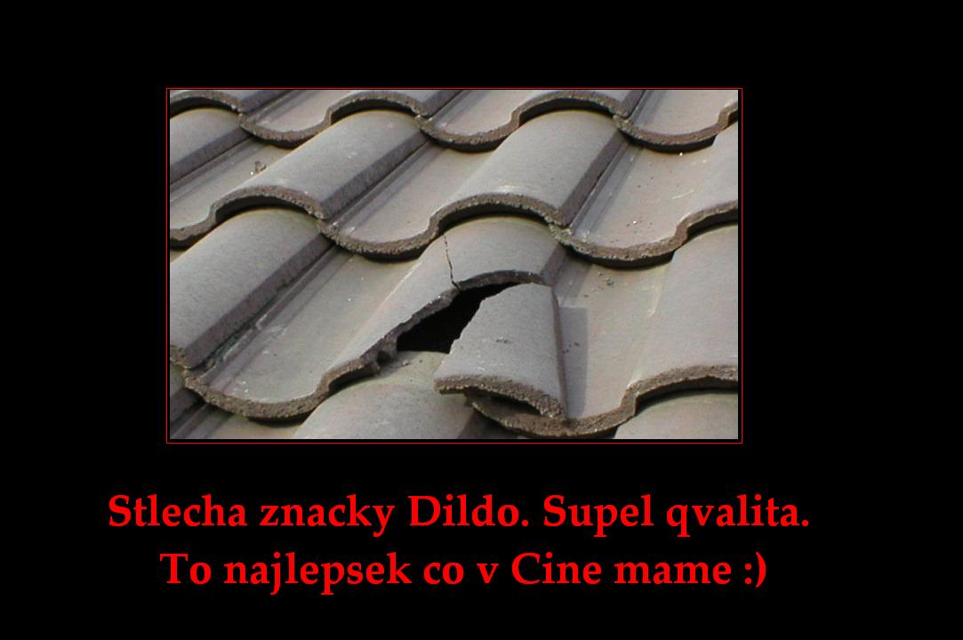 strecha - vtipný obrázok - Kalerab.sk